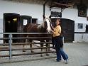 2008_05_17_15-21-34_053