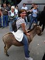 2008_05_18_11-38-24_085