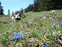 2008_05_24_11_49_36