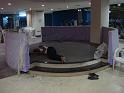 2008_05_11_19-24-13_078